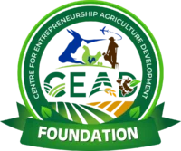 Cead Foundation